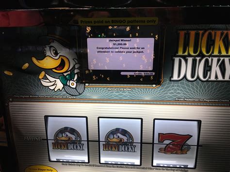 how to win on lucky duck slot machine